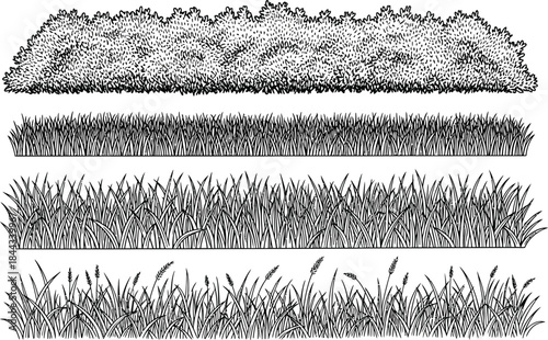 Detailed Vector Illustrations of Various Grass and Bush Types in Black and White Graphic Design