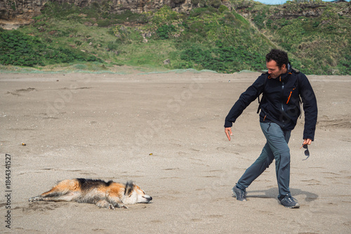 Playful Man Running and Trying to Play with Relaxed Dog Lying on Sandy Beach