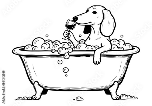 A whimsical illustration of a dachshund enjoying a relaxing bubble bath while holding a glass of red wine.