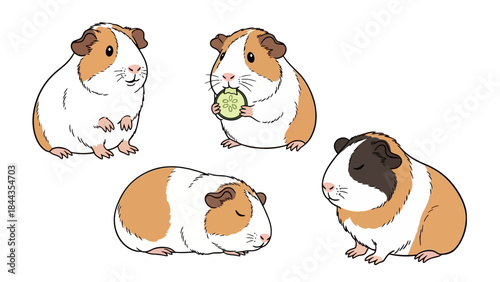 Cute Guinea Pig Illustrations: A Collection of Adorable Rodent Poses and Activities