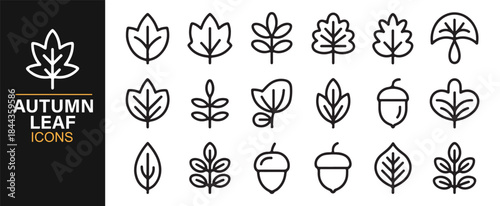 Minimal linear fall leaf icon set for seasonal and nature designs