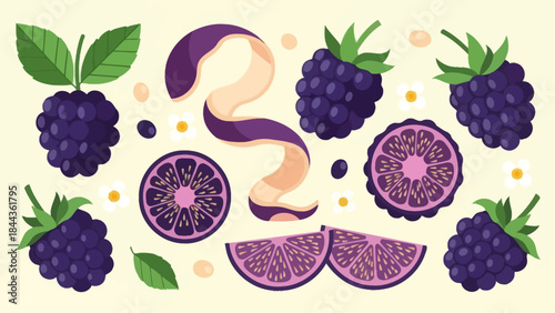 Illustration of Blackberries and Purple Passion Fruit Slices with Leaves and