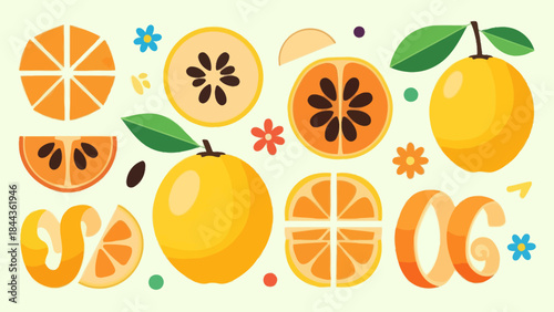 Vibrant citrus and fruit illustrations showcasing a colorful array of oranges