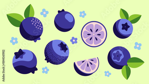 Colorful illustration of fresh blueberries with leaves and small flowers