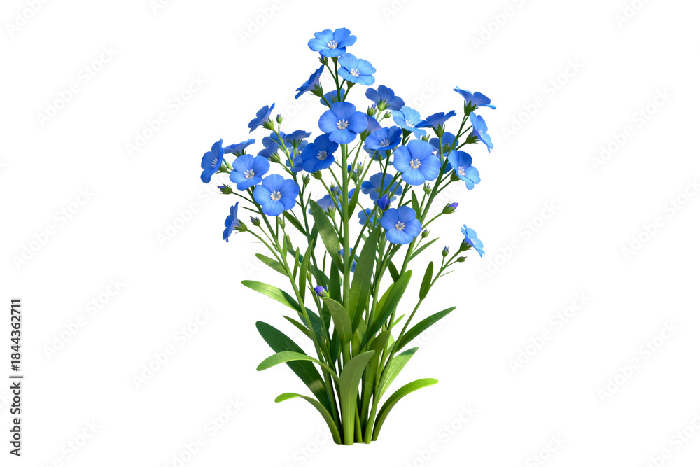 Obraz premium Bouquet of Blue Forget-Me-Not Flowers