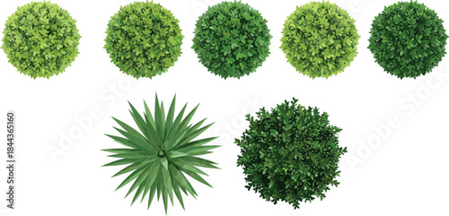 Top view green bushes and plants collection landscape design elements garden foliage set isolated on white background vector illustration