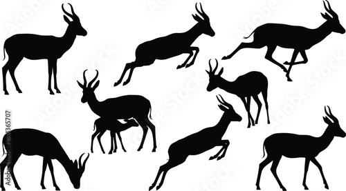Antelope silhouette vector, grazing antelope, leaping antelope, wildlife posture, animal movement, black silhouette, nature clipart, African mammal illustration