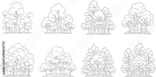 Outline Illustrations of Trees and Forests in Different Shapes and Sizes for Nature and Graphic Design