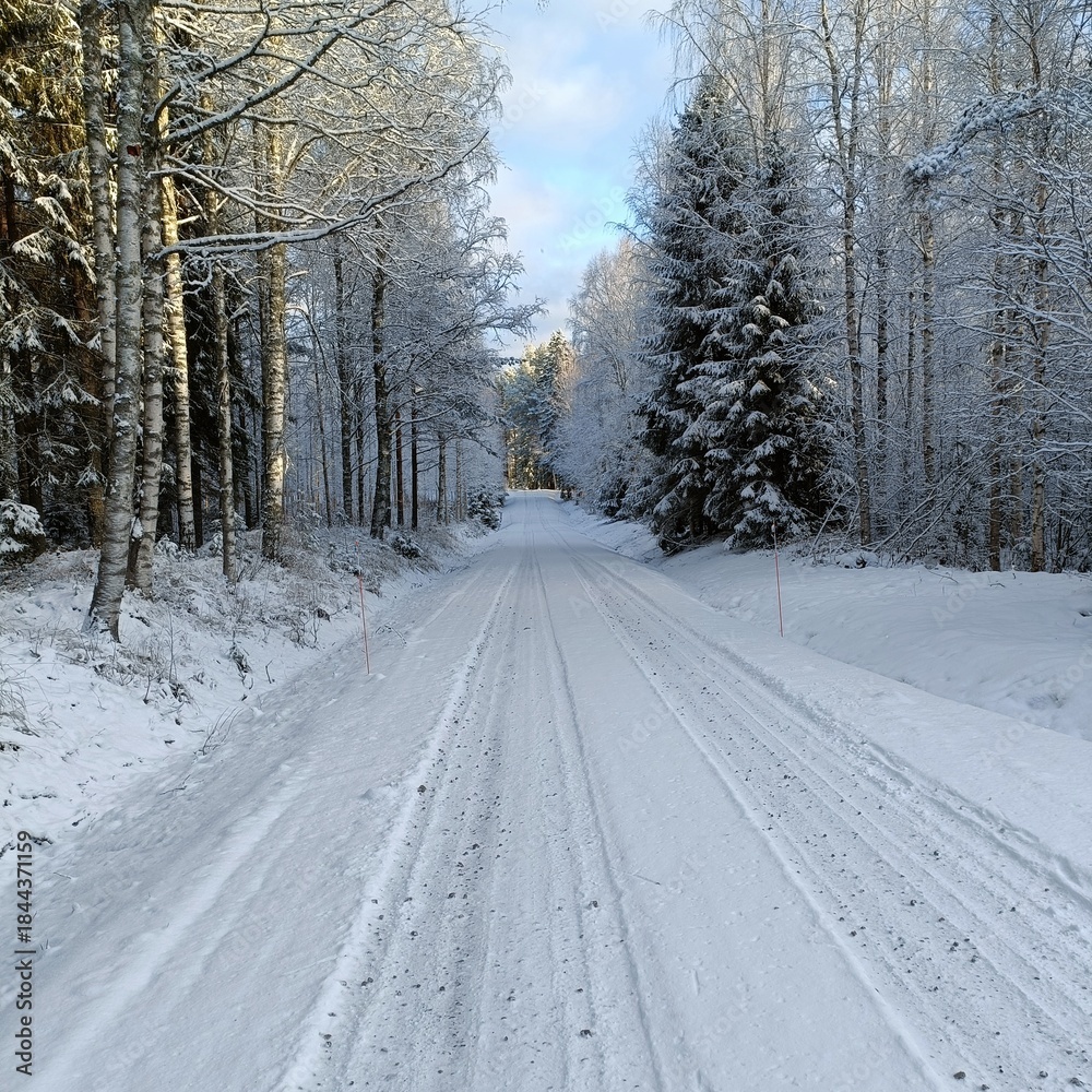Obraz premium Snowy forest road in winter with frosty trees
