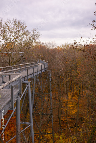 Hainich National Park in Thuringia on a cloudy autumn day. A high observation bridge overlooks the treetops with yellow leaves. A tourist complex in the national park