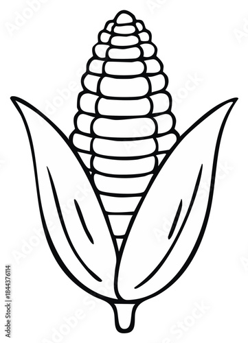 Corn on the cob with leaves illustration isolated on white