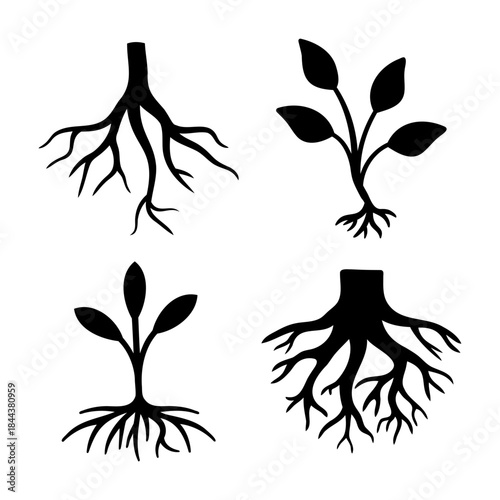 Plant roots and sapling growth silhouette icons collection