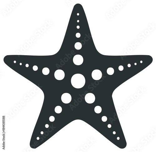 Dark silhouette starfish illustration, marine animal design, sea life concept