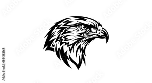 Striking Black and White Vector Illustration of an Eagle Head with Detailed Feathers