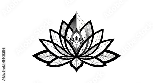 Elegant lotus flower drawing in black and white, showcasing intricate details and symmetrical