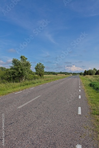 Two-lane asphalt rural road surrounded by green, bushes and trees, is sunny summer weather with a bright blue sky and some white clouds, Karuste, Saaremaa, Estonia.