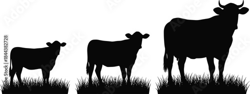 Black and white silhouette vector of three Holstein dairy cows with visible udders, shown grazing in a patch of grass, used for milk, farm, cattle ranching, and agricultural food product graphics