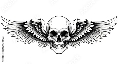 Vector illustration of a skull with wings, perfect for tattoos or graphic designs evoking freedom