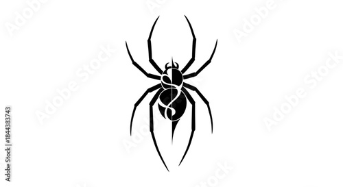 Elegant Spider Silhouette with Intricate Abdomen Design on White Background