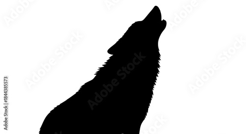 Dramatic silhouette of a howling wolf against a stark white background graphic animal