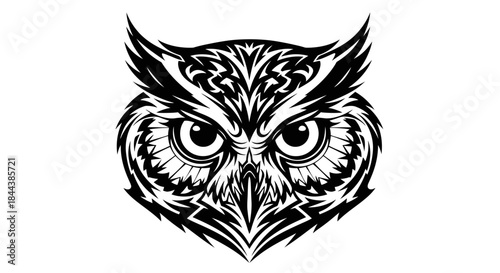 Intricate owl head design in black and white, a captivating artistic display