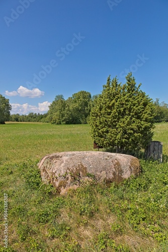 View of Aljava Ukukivi (Offering stone of Uku) boulder with juniper tree beside it in a grassy field, surrounded by low-lying vegetation and a backdrop of a forest line in sunny summer weather with cl