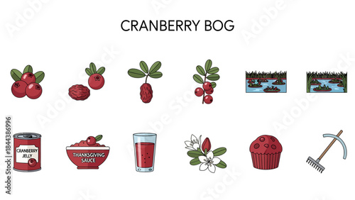 A collection of illustrations related to cranberries and cranberry bogs