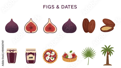 Collection of illustrations featuring figs dates fig jam fig tart date palm leaf and a date palm tree