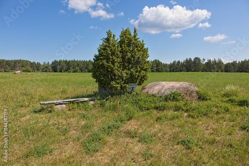 View of Aljava Ukukivi (Offering stone of Uku) boulder with juniper tree beside it in a grassy field, surrounded by low-lying vegetation and a backdrop of a forest line in sunny summer weather with cl