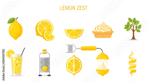 Flat vector icons illustrating lemons zest juice and related items