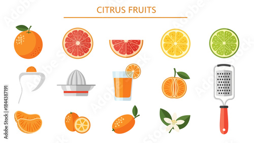 Flat vector icons of citrus fruits juice and preparation tools