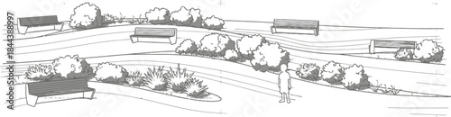 Modern park design section with benches and lush planting detail