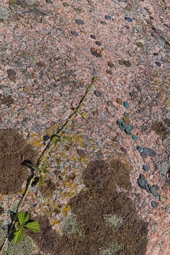 Close-up of Aljava Ukukivi (Offering stone of Uku) boulder with offering coins left on rock in sunny summer weather, Muhu, Estonia.