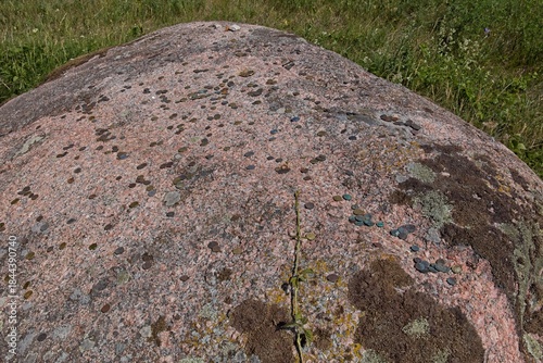 Close-up of Aljava Ukukivi (Offering stone of Uku) boulder with offering coins left on rock in sunny summer weather, Muhu, Estonia.