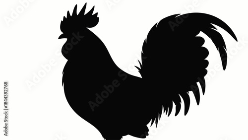 Black silhouette of a rooster bird.
