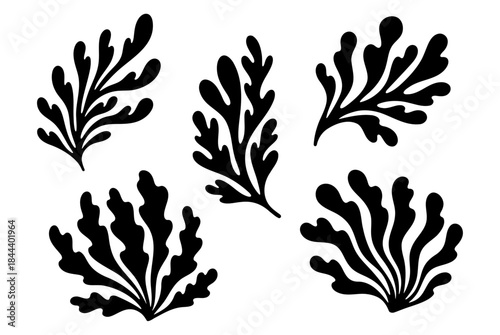 Collection of abstract seaweed silhouettes, a set of hand drawn underwater algae, coral, and sea plant icons for marine design