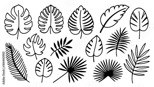 Collection of hand drawn tropical leaves outlines including monstera, palm, and fan leaf