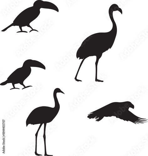 Collection of Exotic Bird Silhouettes Toucan Flamingo Crane Flying Bird Vector Set