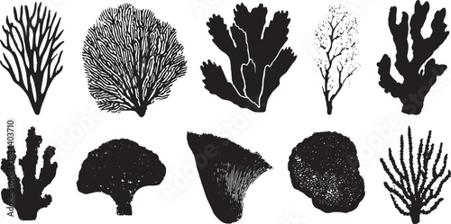 Set of coral illustrations in black silhouette style. Isolated vector designs showcasing various underwater shapes in a marine environment.