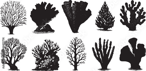 Various coral illustrations in black silhouette style. This set features different shapes and designs in vector format.
