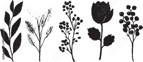 Set of hand-carved plant sprigs and stems. Black vector illustration with textures, ideal for modern botanical graphic design.