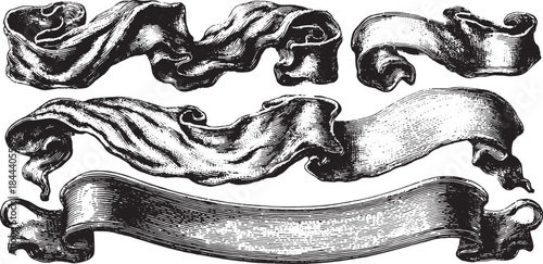 Set of abstract ribbons in black and white. Elaborate vector illustration with graceful shapes in a classic style.