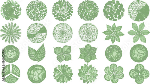 Collection of Top- Down Green Plant and Tree Icons for Landscape Design plants trees