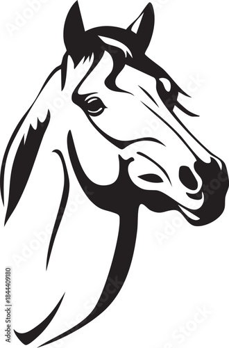 Tête de cheval ligne - Silhouette