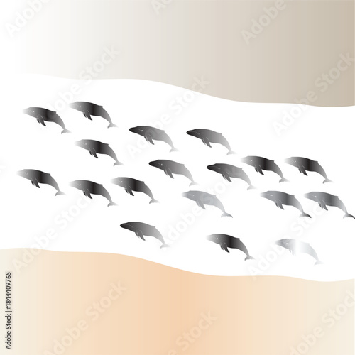 A group of dolphins leaping out of the water in a curved formation against a light background
