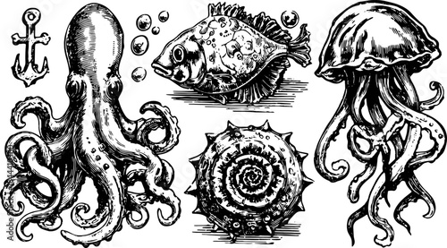Octopus, fish, jellyfish, and shell in engraving style. Black outline set showcasing sea life elements in a vintage vector illustration.