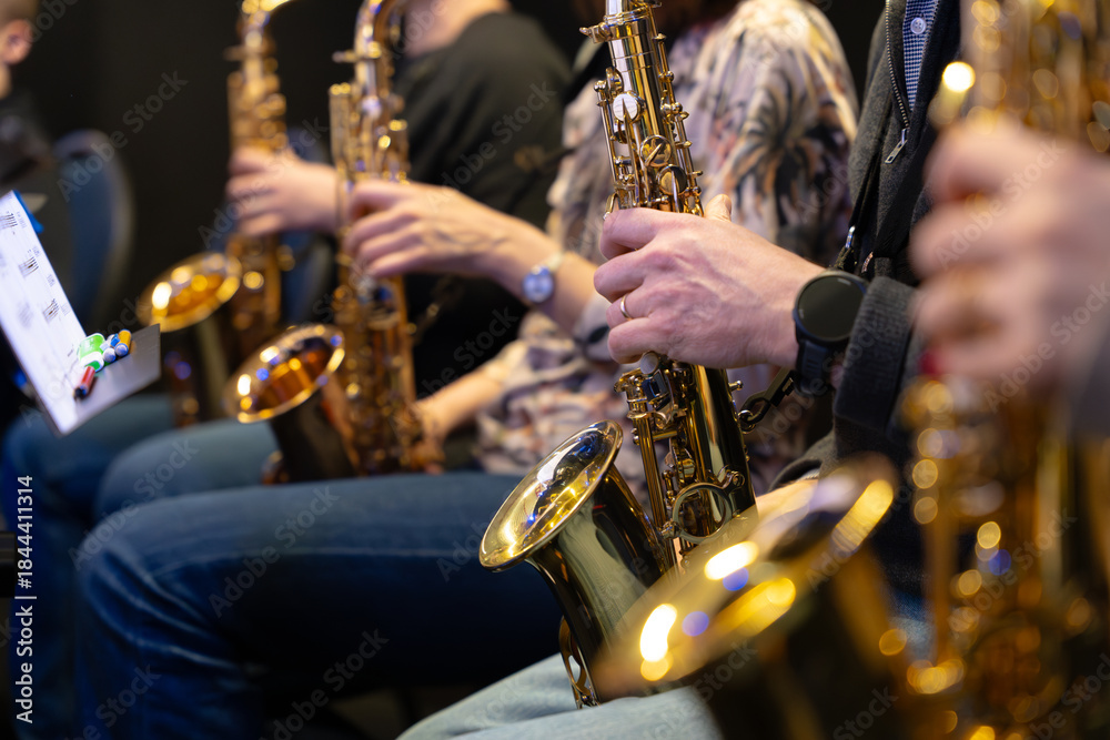 Fototapeta premium People playing the saxophone