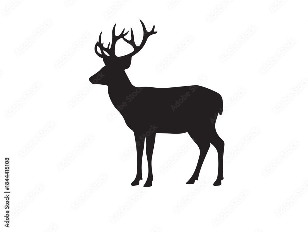 Obraz premium New deer in silhouette white background.