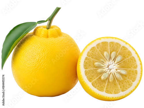 Whole Yuzu Citrus Fruit and a Half (Side View)