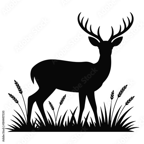 silhouette of deer